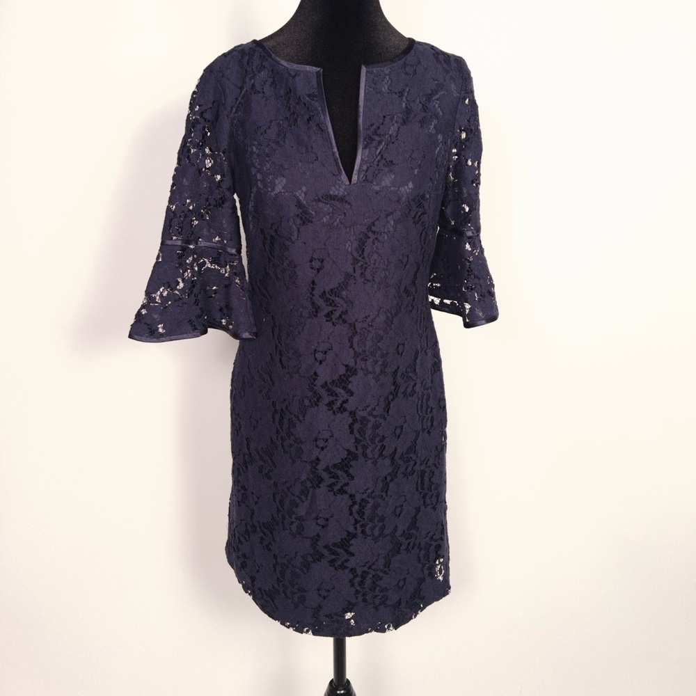 Adrianna Papell Lace Dress Size  4